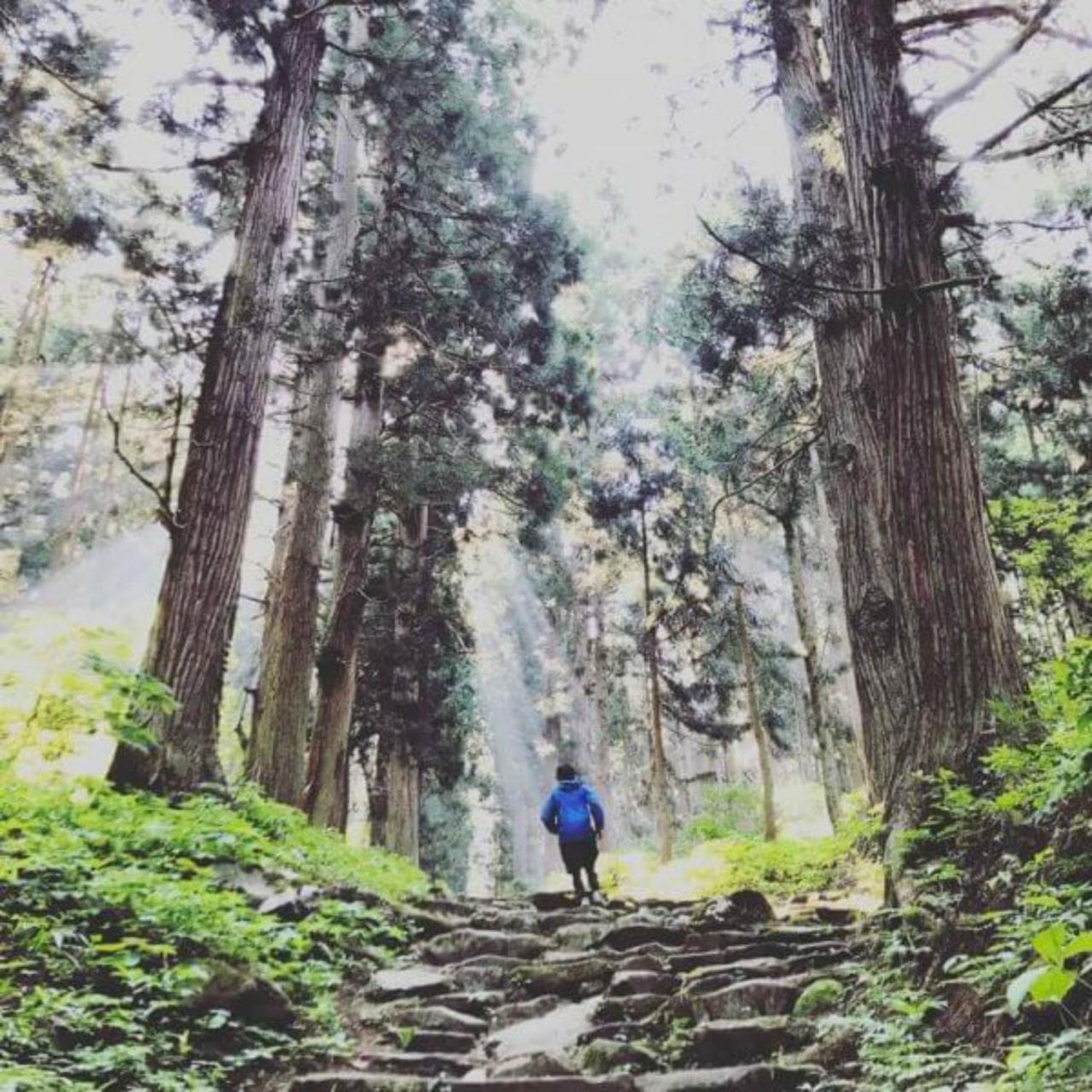 Lodge Nagano Nozawaonsen Dış mekan fotoğraf